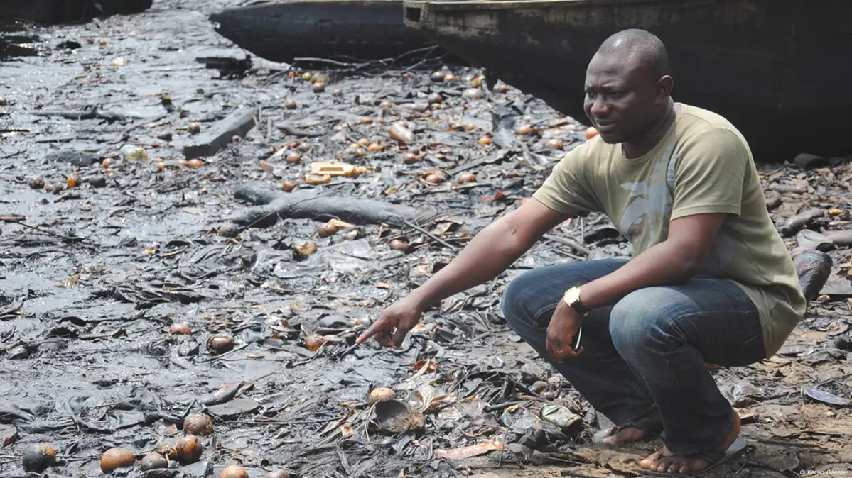 Niger Delta Environmental Monitoring Detailed View